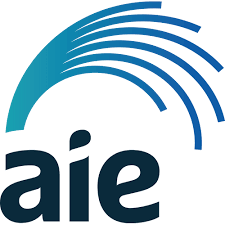 The Academy of Interactive Entertainment Ltd